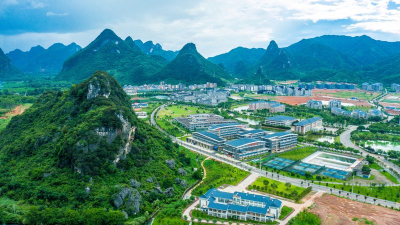 揭秘电子科技公司口碑背后的真相