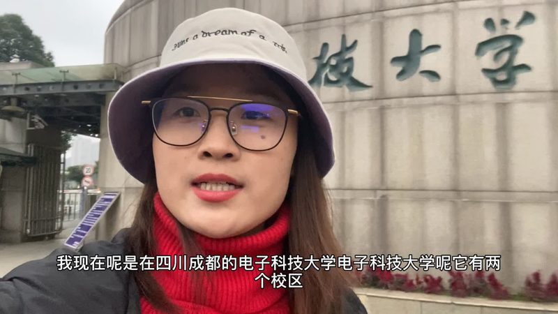 国产电源管理芯片：如何实现进口替代？**